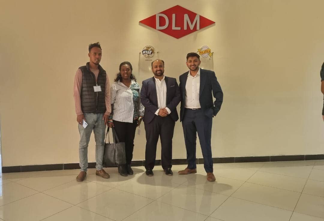DLM team